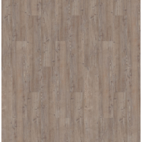 argyll fir greyfriars 