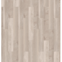 broad leaf light sycamore 1704788762