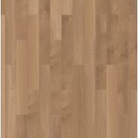 broad leaf pure sycamore  