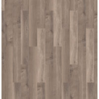 broad leaf smoky sycamore