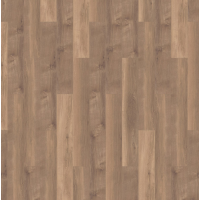 broad leaf warm sycamore 