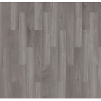 broad leagrey sycamore