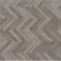 parva broad leaf gray sycamore