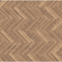 parva broad leaf warm sycamore