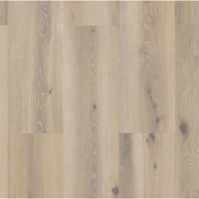 029 forest nutmeg 769616866