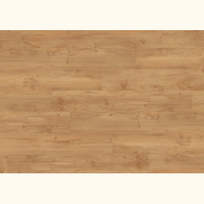 340 golden pine 2855  