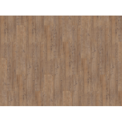 argyll fir comerford3 