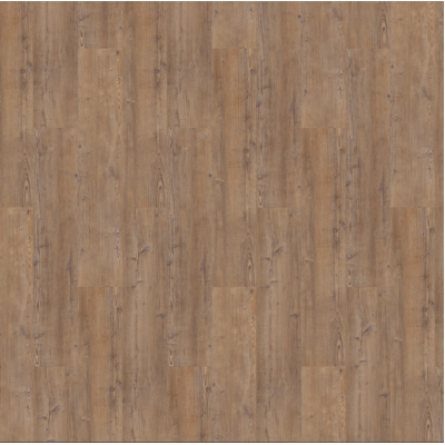 argyll fir comerford 