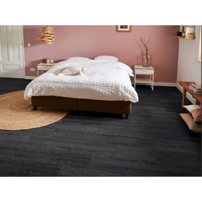 argyll fir glenmuir2