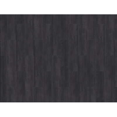 argyll fir glenmuir3