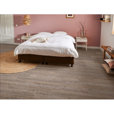 argyll fir greyfriars2