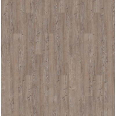 argyll fir greyfriars 