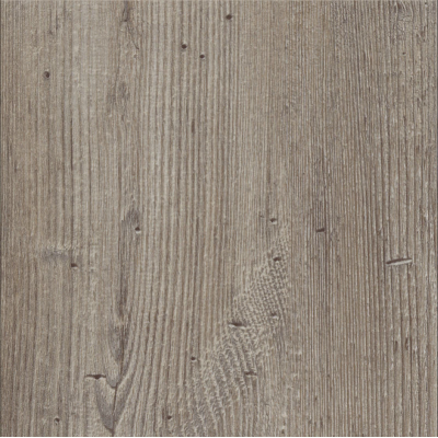 argyll fir greyfriars 1