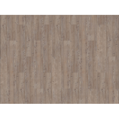 argyll fir greyfriars 3