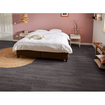 argyll fir montrose 2