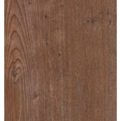 argyll fir serrano1 1563113933