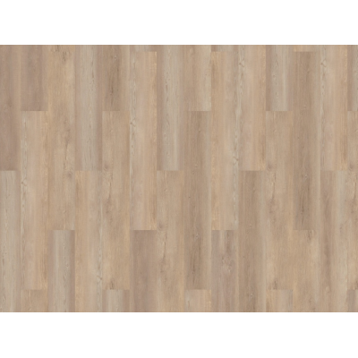 authentic lake grafham3 