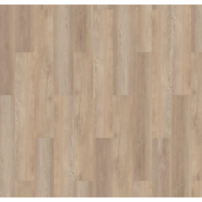 authentic lake grafham 