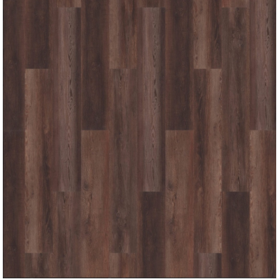 authentic lake windermere  