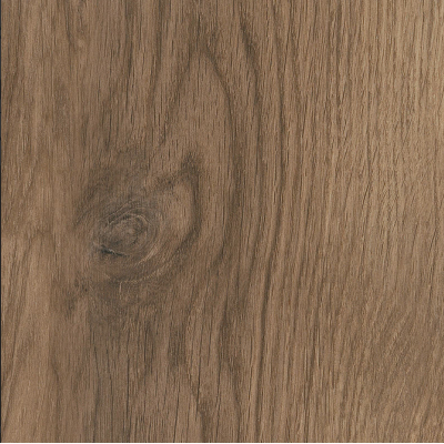 bramber chestnut alforf  1