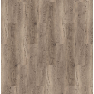 bramber chestnut miglio 