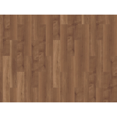 broad leaf dark sycamore3 