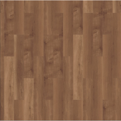 broad leaf dark sycamore 