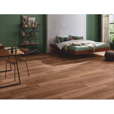 broad leaf dark sycamore 2