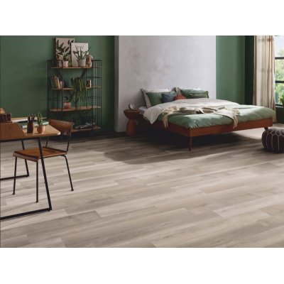 broad leaf light sycamore2