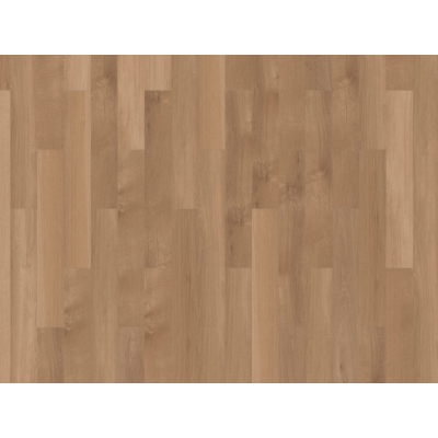 broad leaf pure sycamore3  