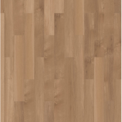 broad leaf pure sycamore  