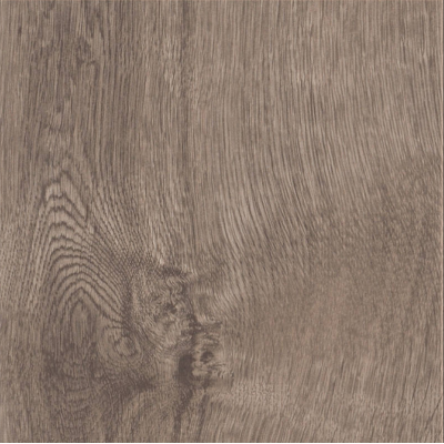 broad leaf smoky sycamore1