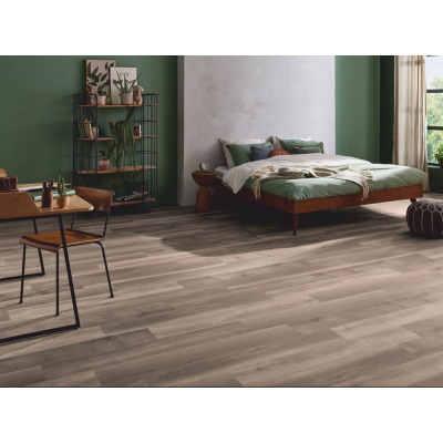 broad leaf smoky sycamore2