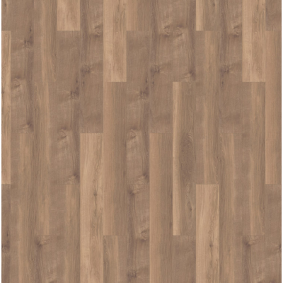 broad leaf warm sycamore 