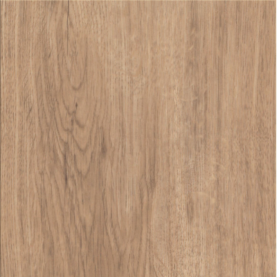 broad leaf warm sycamore 1