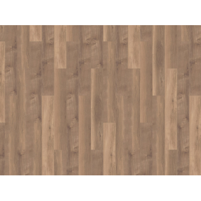 broad leaf warm sycamore 3