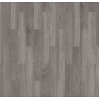 broad leagrey sycamore