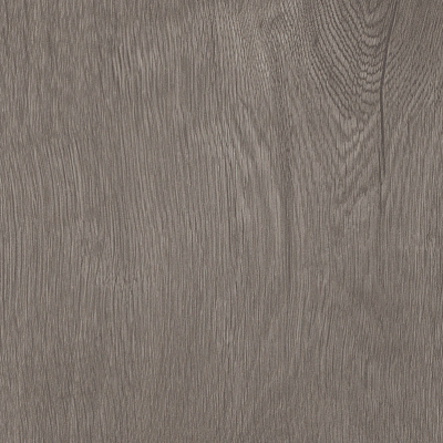 broad leagrey sycamore1