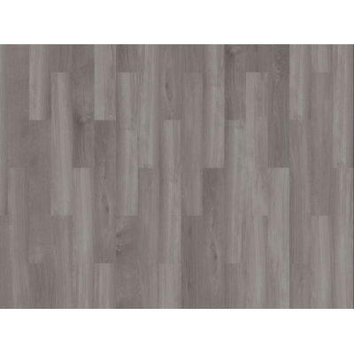 broad leagrey sycamore3