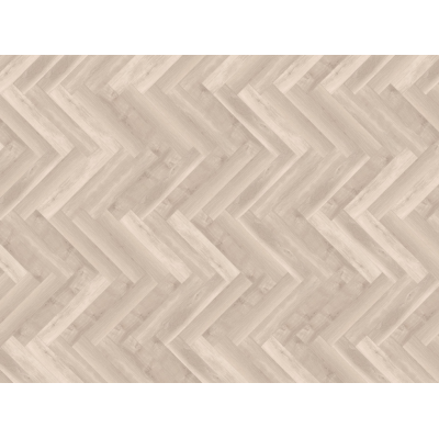 parva broad leaf light sycamore3