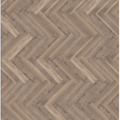 parva broad leaf smoky sycamore 