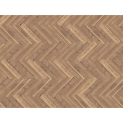 parva broad leaf warm sycamore3