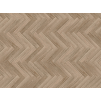 parva river oak douro3 